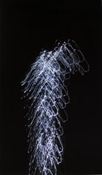 Digital Photograph by Joshua Tweedale, Year 7, Cathedral College Wangaratta Student photograph of a moving light