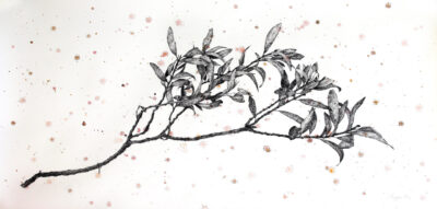 Drawing on Watercolour by Maggie Wu, Year 11, Huntingtower Student artwork of a branch