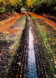 Photographic Print by Brodie Katz, Year 9, Mount Scopus Memorial College Student artwork of