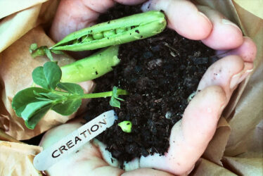 Photographic Print by Carly Shaw and Nadine Alford, Year 9, Mount Scopus Memorial College Student artwork of