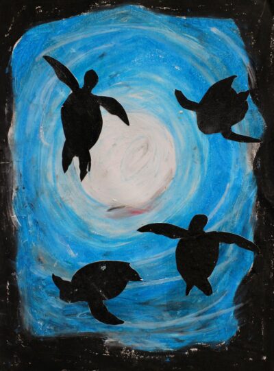 Mixed media on paper by Aslihan Kirazli, Year 2, Sirius College Student artwork of marine animals