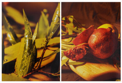 Digital photographs on foam core by Nikhil Palta, Year 10, Hume Anglican Grammar Student artwork of a still life with fruit and leaves