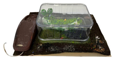 Mixed media by Abi Jelbart and Lottie Hynes, Year 7, Carey Baptist Grammar School Student artwork