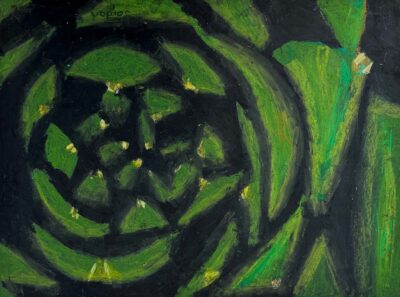 Oil pastel on paper by Jordan Tay, Year 4, St Andrew’s Christian College Student artwork of a succulent